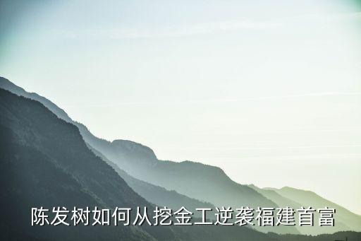  陳發(fā)樹(shù)如何從挖金工逆襲福建首富