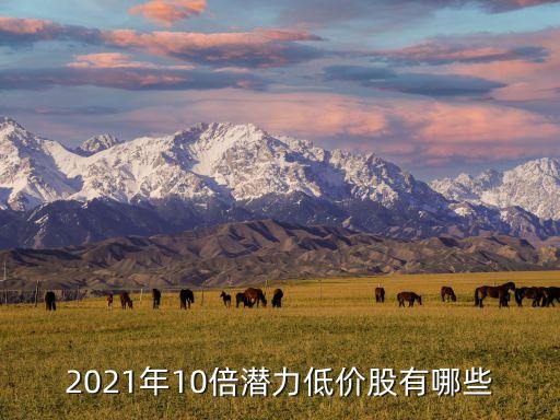 2021年10倍潛力低價(jià)股有哪些