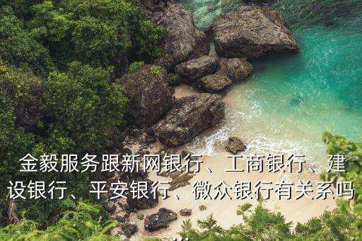  金毅服務跟新網(wǎng)銀行、工商銀行、建設銀行、平安銀行、微眾銀行有關系嗎...