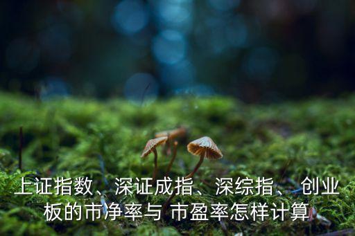 上證指數(shù)、深證成指、深綜指、 創(chuàng)業(yè)板的市凈率與 市盈率怎樣計算