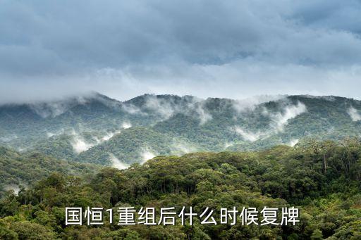  國恒1重組后什么時候復(fù)牌