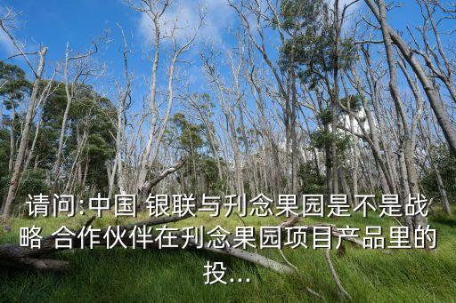 請問:中國 銀聯(lián)與刋念果園是不是戰(zhàn)略 合作伙伴在刋念果園項目產(chǎn)品里的投...