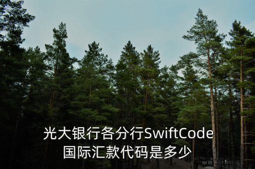 中國(guó)光大銀行西安東大街支行行號(hào),光大銀行西安經(jīng)濟(jì)技術(shù)開(kāi)發(fā)區(qū)支行
