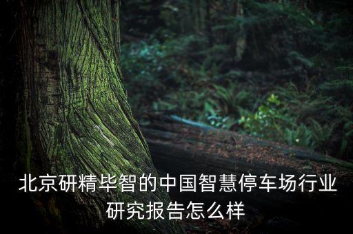  北京研精畢智的中國智慧停車場行業(yè)研究報(bào)告怎么樣