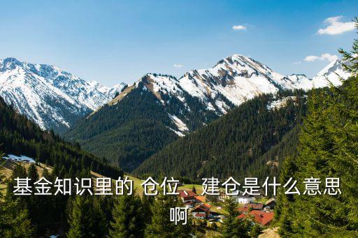 基金知識(shí)里的 倉位、建倉是什么意思啊