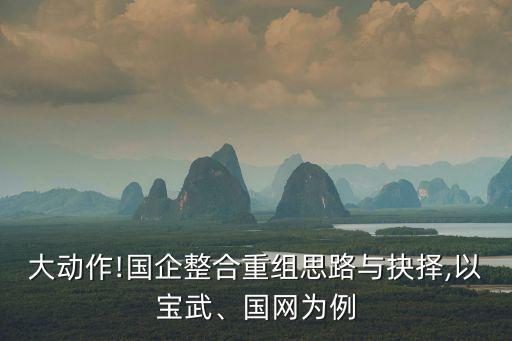 大動(dòng)作!國(guó)企整合重組思路與抉擇,以寶武、國(guó)網(wǎng)為例