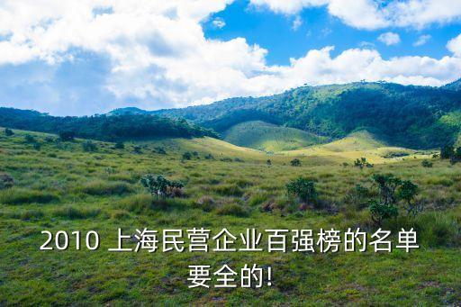 2010 上海民營企業(yè)百強(qiáng)榜的名單要全的!