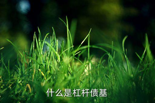 150228的母基金代碼查詢(xún)