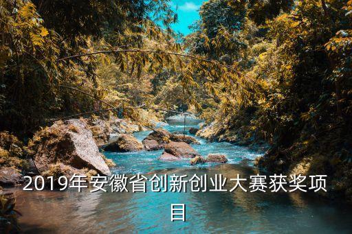 2019年安徽省創(chuàng)新創(chuàng)業(yè)大賽獲獎項(xiàng)目