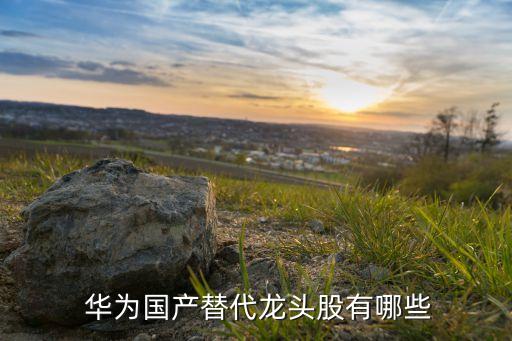 華為國產替代龍頭股有哪些