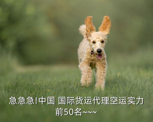 急急急!中國(guó) 國(guó)際貨運(yùn)代理空運(yùn)實(shí)力前50名~~~