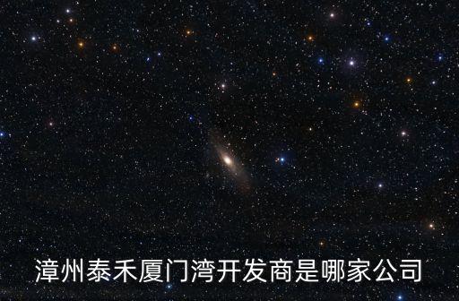 漳州泰禾廈門(mén)灣開(kāi)發(fā)商是哪家公司