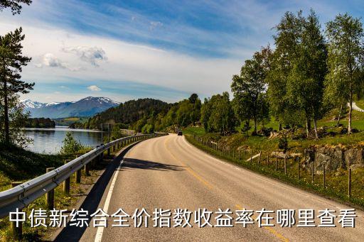 中債新綜合全價指數(shù)收益率在哪里查看