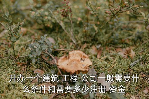 開辦一個(gè)建筑 工程 公司一般需要什么條件和需要多少注冊 資金