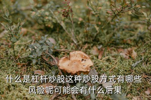 什么是杠桿炒股這種炒股方式有哪些 風(fēng)險(xiǎn)呢可能會有什么后果