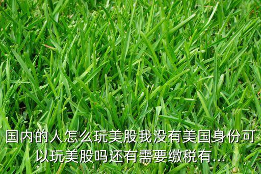 國內的人怎么玩美股我沒有美國身份可以玩美股嗎還有需要繳稅有...