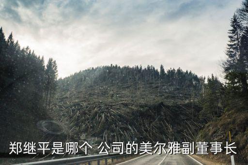 鄭繼平是哪個(gè) 公司的美爾雅副董事長