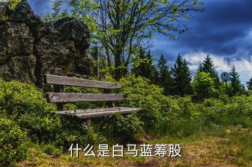 什么是白馬藍籌股