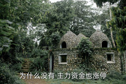 股票沒(méi)主力機(jī)構(gòu),股票里面主力、機(jī)構(gòu)分別是什么意思