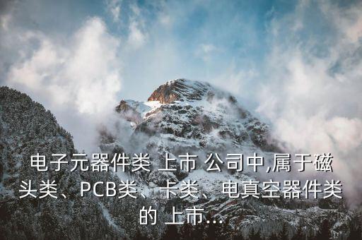 電子元器件類 上市 公司中,屬于磁頭類、PCB類、卡類、電真空器件類的 上市...