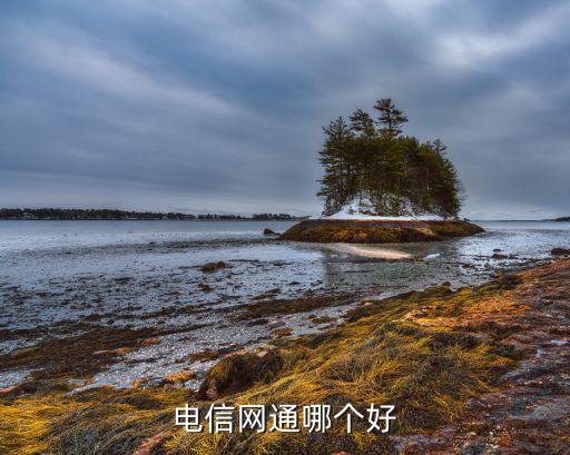 中國電信主營業(yè)務收入