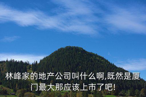 林峰家的地產(chǎn)公司叫什么啊,既然是廈門最大那應該上市了吧!