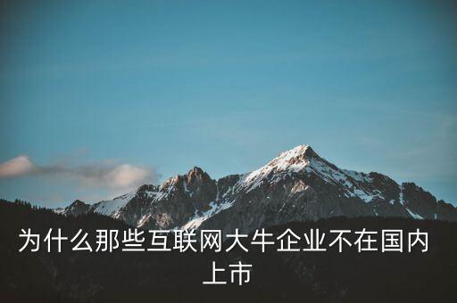 為什么那些互聯(lián)網(wǎng)大牛企業(yè)不在國內 上市