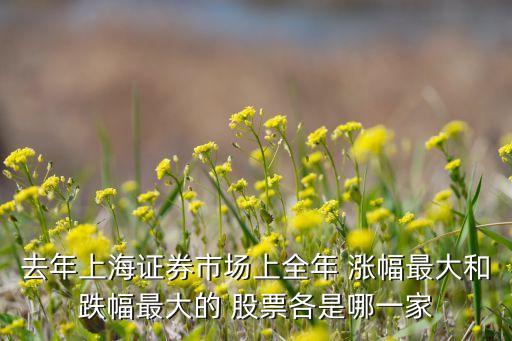 去年上海證券市場(chǎng)上全年 漲幅最大和跌幅最大的 股票各是哪一家