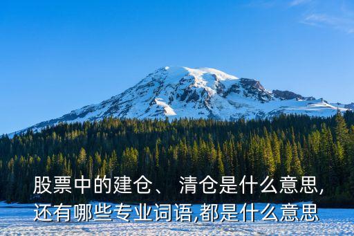  股票中的建倉(cāng)、 清倉(cāng)是什么意思,還有哪些專(zhuān)業(yè)詞語(yǔ),都是什么意思