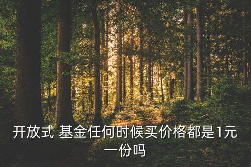 開(kāi)放式 基金任何時(shí)候買價(jià)格都是1元一份嗎