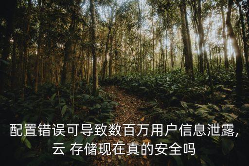 配置錯誤可導致數(shù)百萬用戶信息泄露,云 存儲現(xiàn)在真的安全嗎