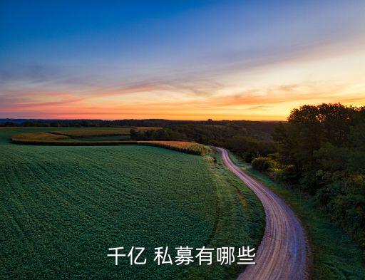 私募股權投資機構規(guī)模排名,pei全球私募股權投資機構300榜單