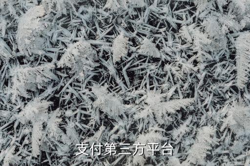 上海匯付金融服務(wù)有限公司電話,云南匯付四?；ヂ?lián)網(wǎng)金融服務(wù)有限公司