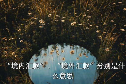 “境內(nèi)匯款”、“境外匯款”分別是什么意思