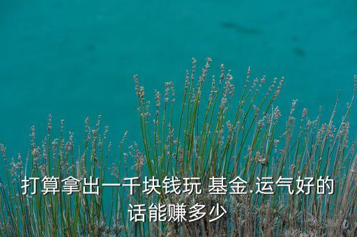 打算拿出一千塊錢(qián)玩 基金.運(yùn)氣好的話能賺多少