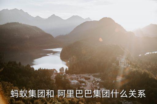阿里巴巴都入股哪家公司,重生之入股阿里巴巴的小說(shuō)