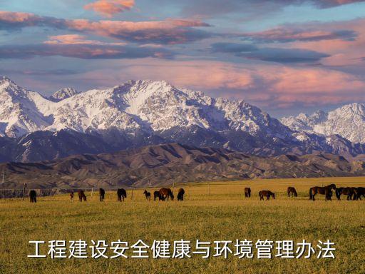 工程建設安全健康與環(huán)境管理辦法