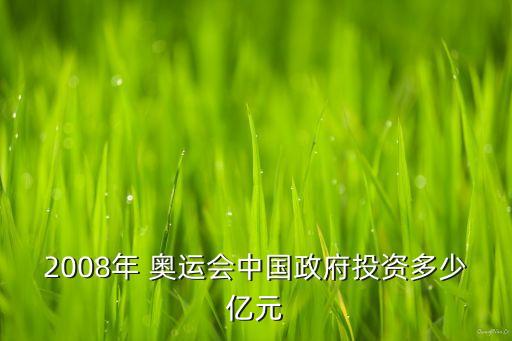 2008年 奧運(yùn)會中國政府投資多少億元