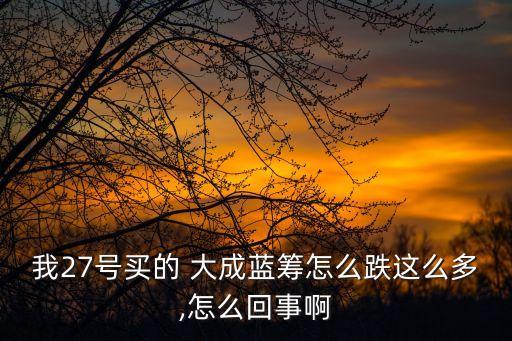 我27號(hào)買的 大成藍(lán)籌怎么跌這么多,怎么回事啊