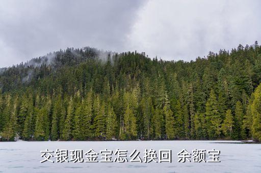 余額寶交通銀行,交通銀行有像余額寶一樣的理財(cái)產(chǎn)品嗎