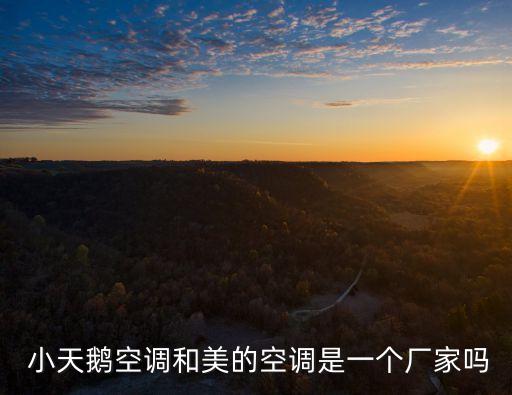 小天鵝投資關系平臺