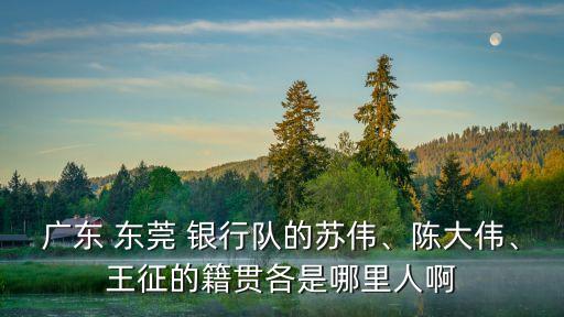 廣東 東莞 銀行隊的蘇偉、陳大偉、王征的籍貫各是哪里人啊