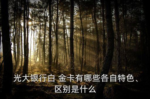  光大銀行白 金卡有哪些各自特色、區(qū)別是什么