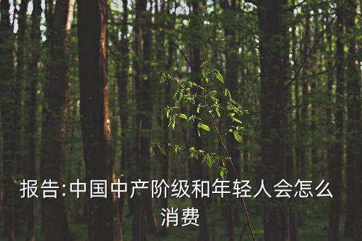 報(bào)告:中國中產(chǎn)階級(jí)和年輕人會(huì)怎么 消費(fèi)