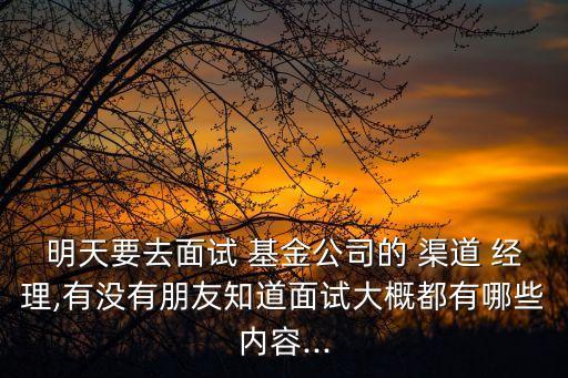 明天要去面試 基金公司的 渠道 經(jīng)理,有沒有朋友知道面試大概都有哪些內容...