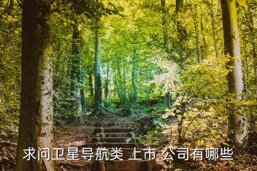 求問衛(wèi)星導航類 上市 公司有哪些