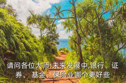 請問各位大師:未來發(fā)展中,銀行、證券、 基金、保險(xiǎn)業(yè)哪個更好些