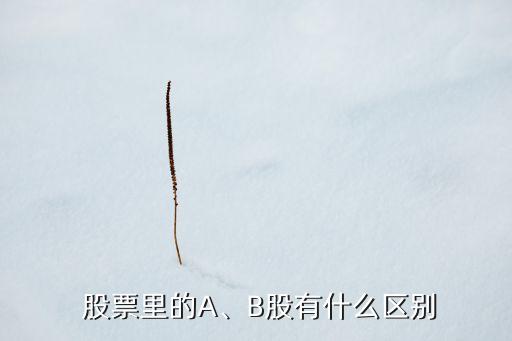  股票里的A、B股有什么區(qū)別