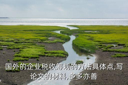 國(guó)外的企業(yè)稅收籌劃的方法具體點(diǎn),寫論文的材料,多多亦善