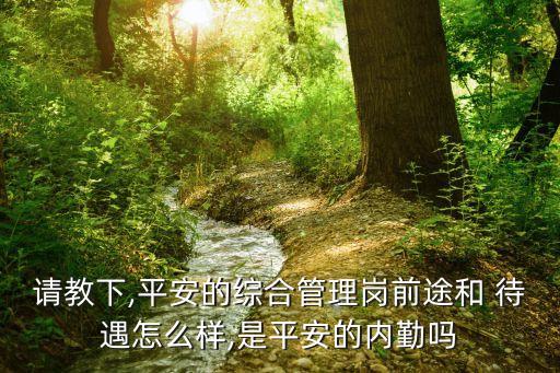 請(qǐng)教下,平安的綜合管理崗前途和 待遇怎么樣,是平安的內(nèi)勤嗎